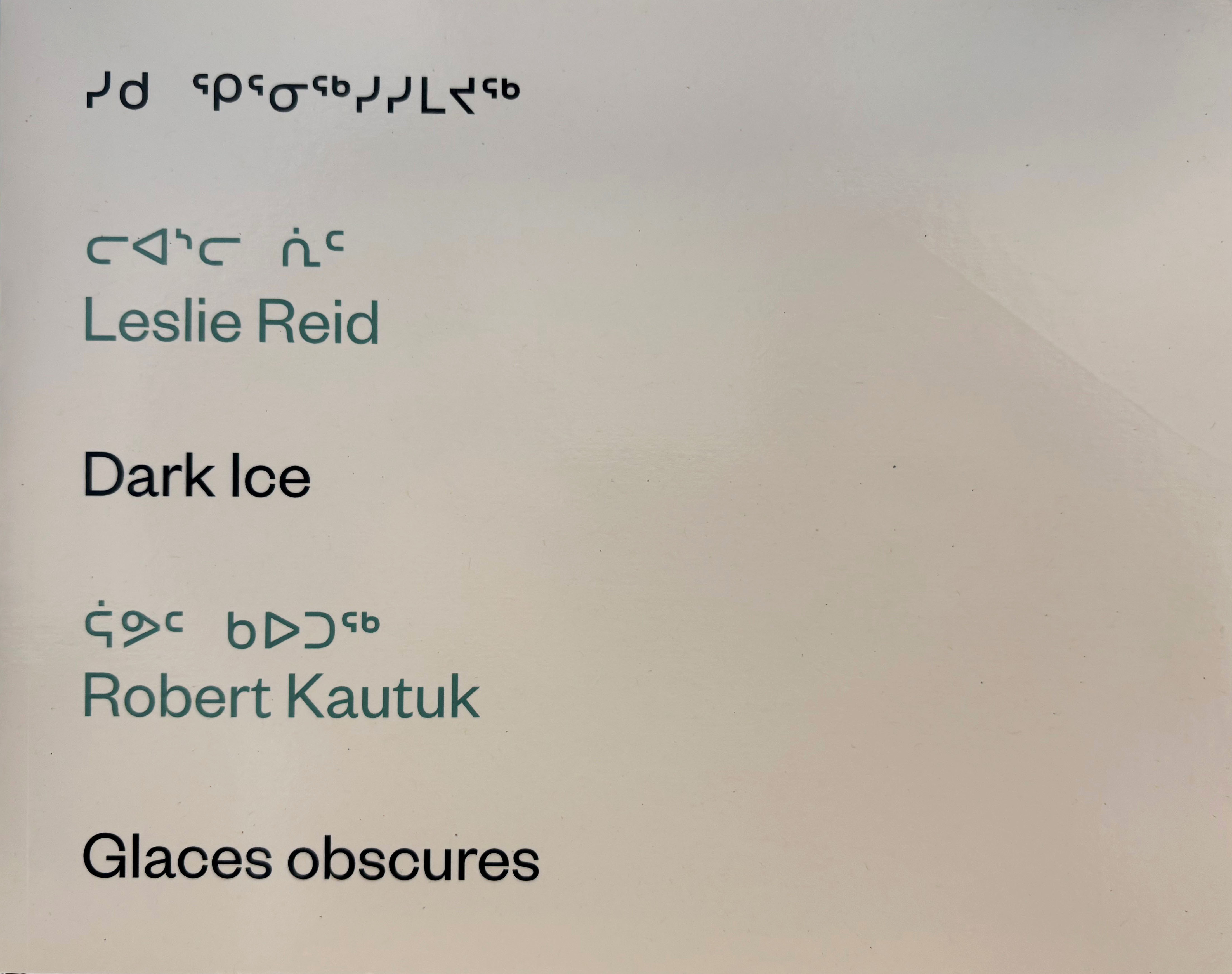 Cover of Dark Ice